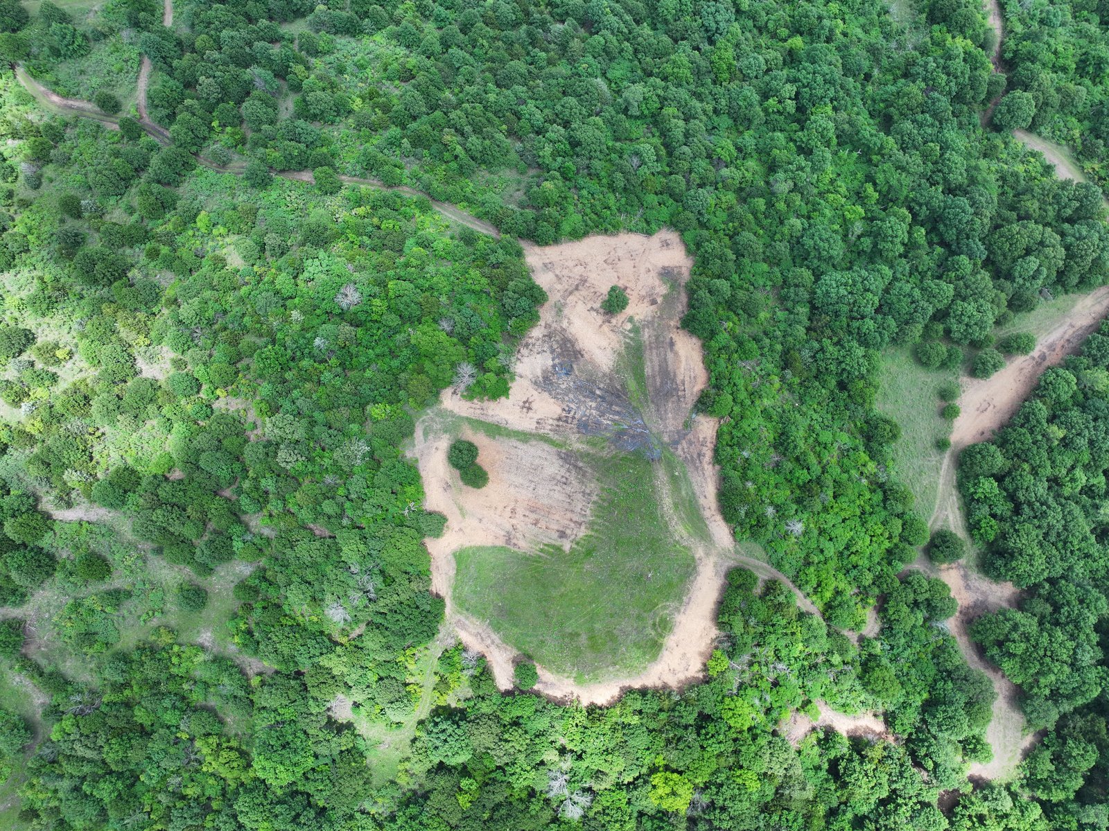 Landscape